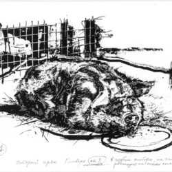 "Animal Farm," George Orwell. illustration