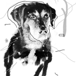 Michail Bulgakow Roman "Heart of a Dog". Illustration.