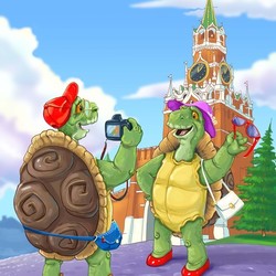 черепахи туристы