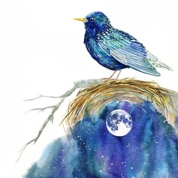 Синяя птица с луной