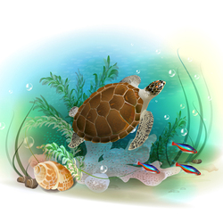 Морская черепаха и рыбки. Подводный мир.