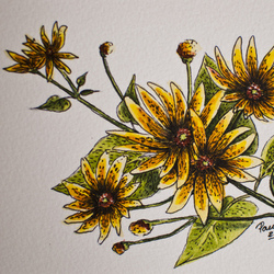 Желтые цветы\ открытка 2014