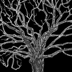 Дерево (фрагмент)