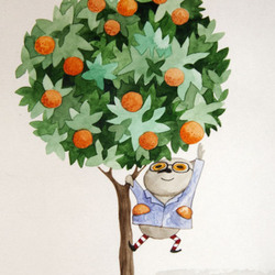 Катугла ворует апельсины