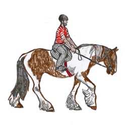 HORSE RIDER