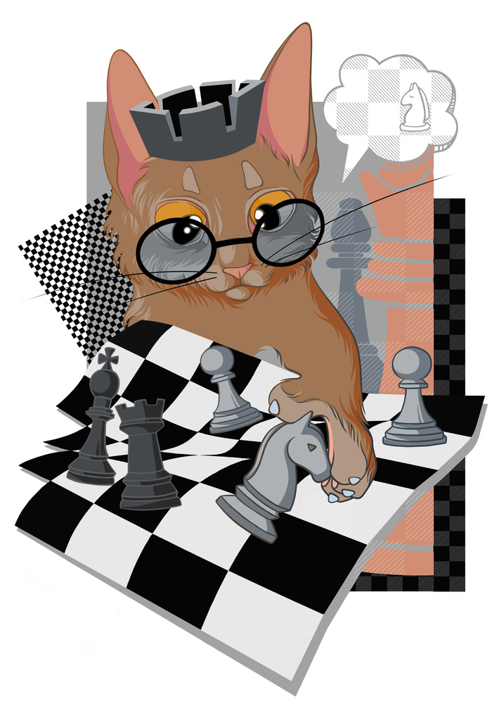 Котик-шахматист