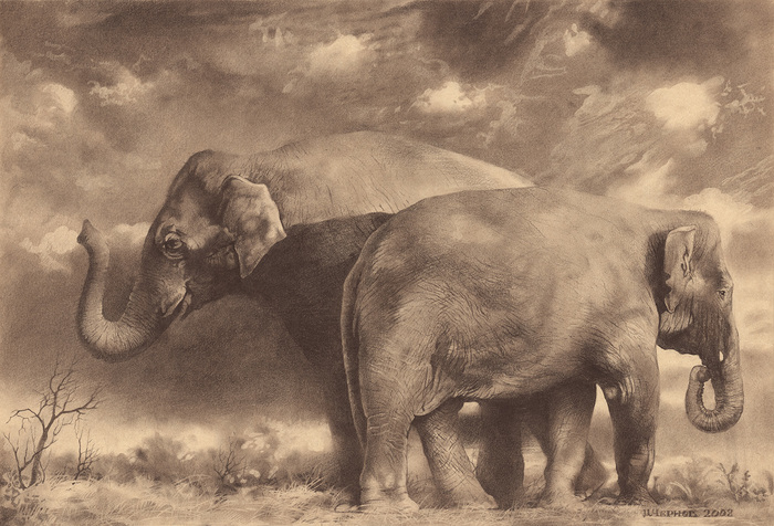 Два слона