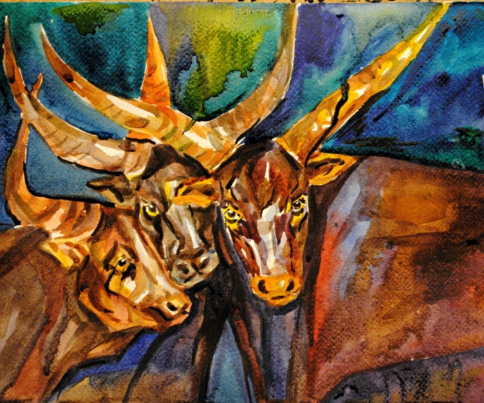 Ватусси .Священные коровки 