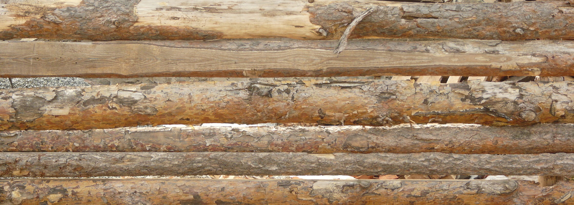 Main wood planks new 0005 01