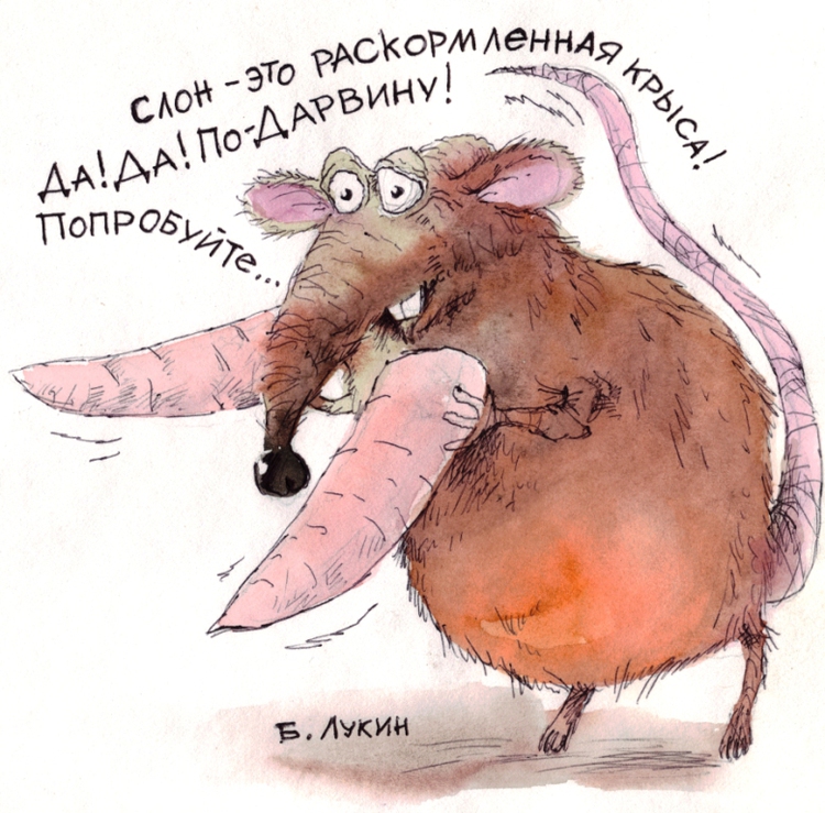 http://illustrators.ru/illustrations/440327_original.jpg?1339393004