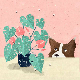 Любопытство