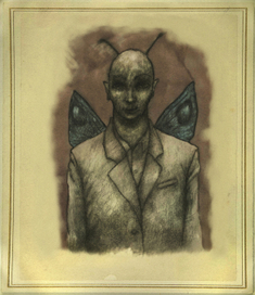 бабочка чел