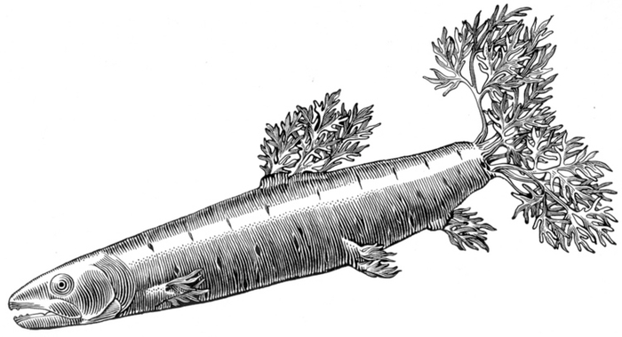 Рыба-морковь