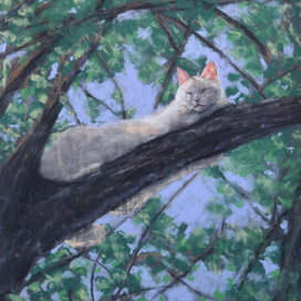 Кот спит на дереве
