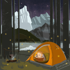 путешественник 2