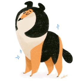 Сухой колли