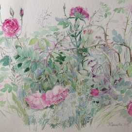 Розочки в саду