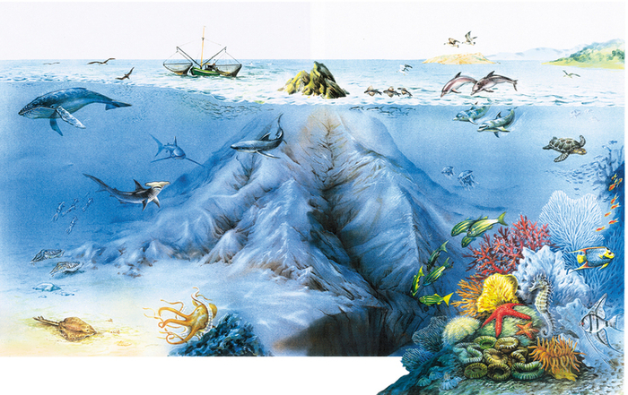  детская энциклопедия