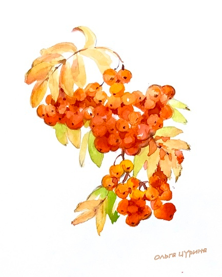 «Сирень и рябина» Ю. Коваль