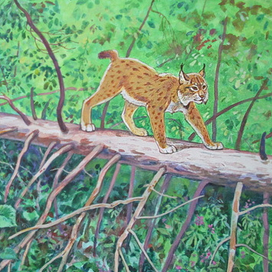 Рисунок для обложки с переходом на спинку