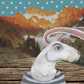 Bunny in the mountains 