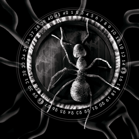 Муравьи Метрополиса