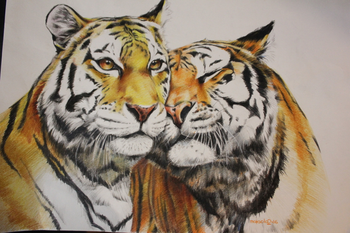 Сила и нежность