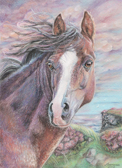 Шепот вереска