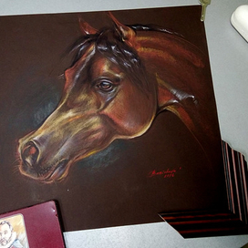 арабская чистокровная