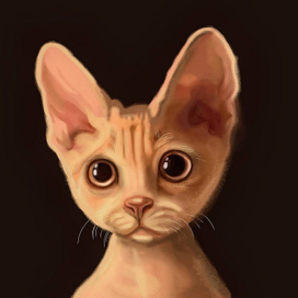 Портрет кота