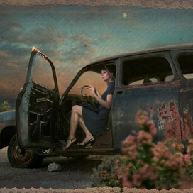 серия работ "Гостья"