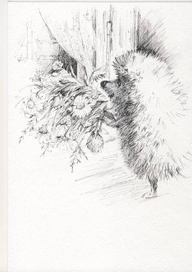 Ромашки для Наташи.