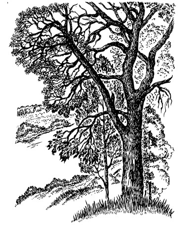 А. ФЕТ. стихотворения.