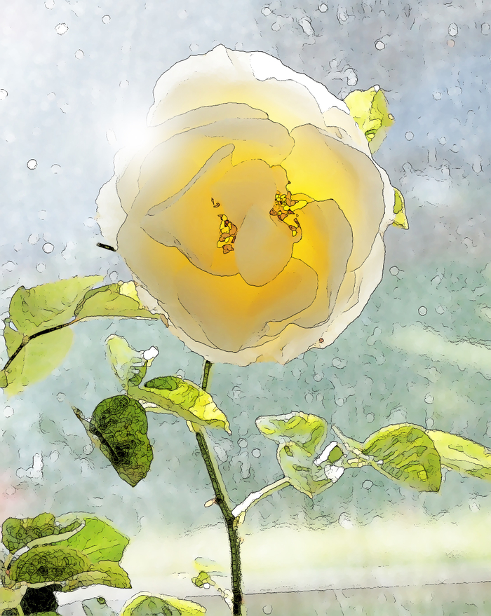 Бабушка Роза