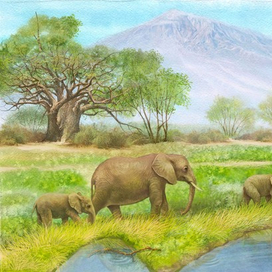 Шмуцтитул к маленькой повести "Шави и Рави"