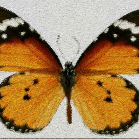 Коврик бабочка