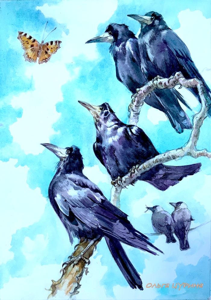 Соколов-Микитов «Грачи и галки»