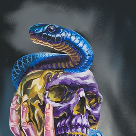 Череп и змея