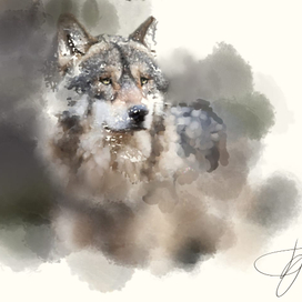 Иллюстрация анималистическая