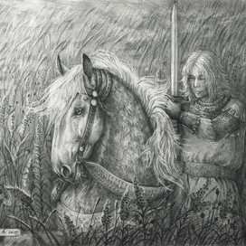 Рыцарь в поле