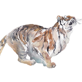 Охота на солнечных зайцев