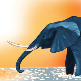 Познавательные сказки