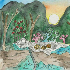 Лишайники да мхи