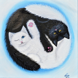 Философия Котэ - Инь и Ян