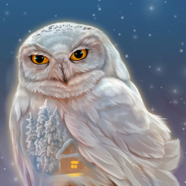 Сердце стужи