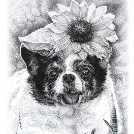 Собачка Куколка