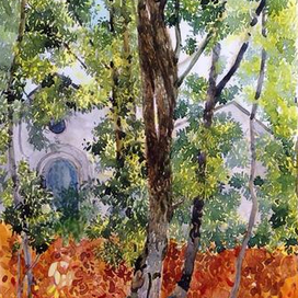 Солнце в листве