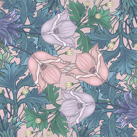 Анемоны. Иллюстрация. Цифровая живопись