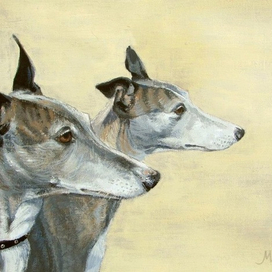 Мери с Дайной