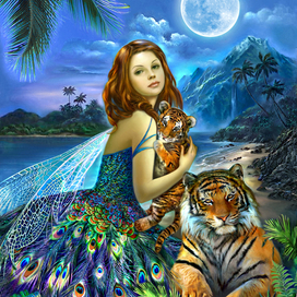 Волшебная страна